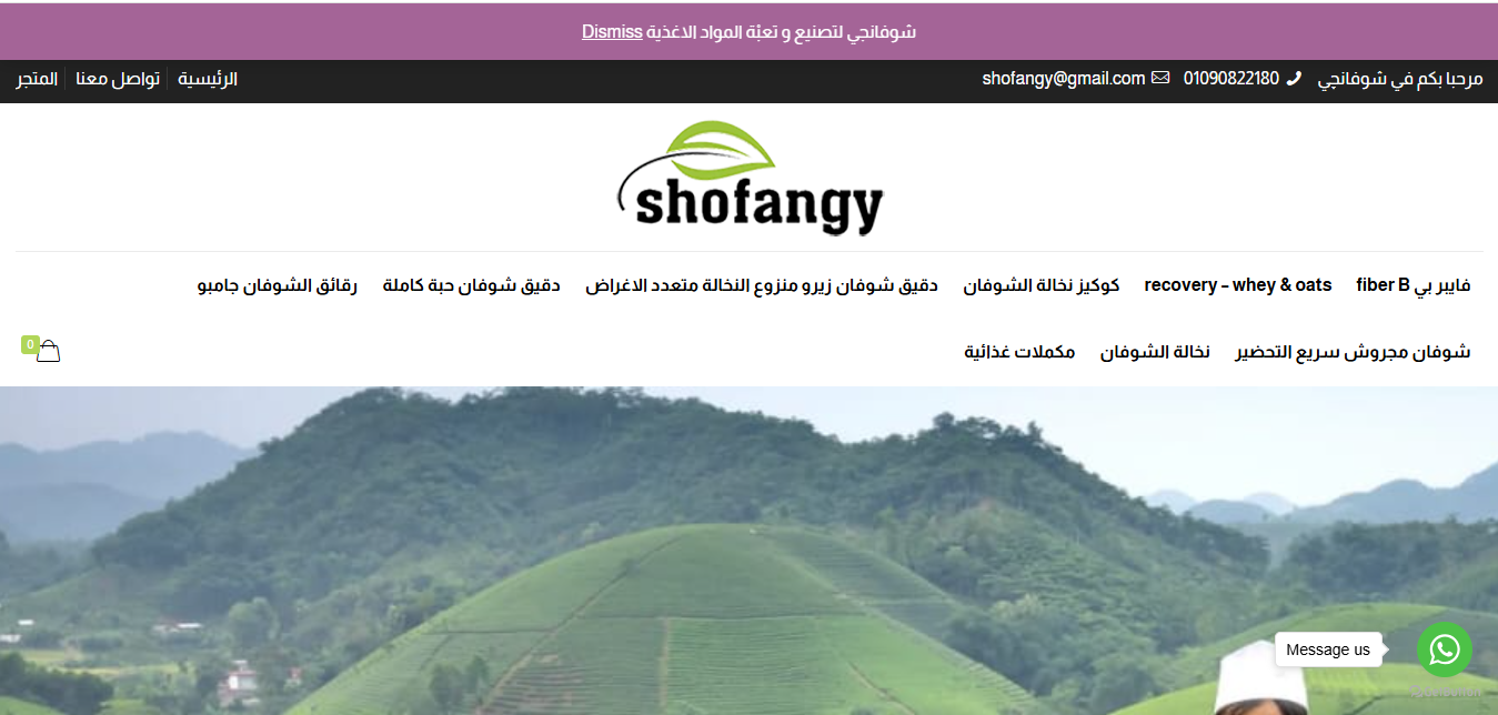 Shofangy